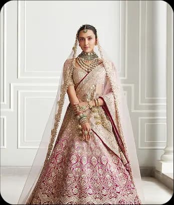 Wedenzy Bridal Lehng..